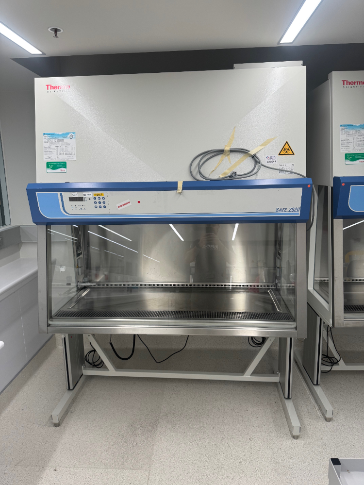 Image of Thermo Safe 2020 5' BioSafety Cabinet